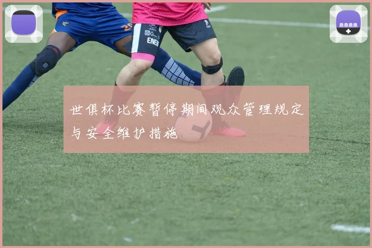 世俱杯比赛暂停期间观众管理规定与安全维护措施