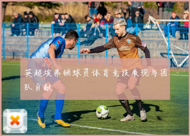 英超埃弗顿球员体育竞技表现与团队贡献