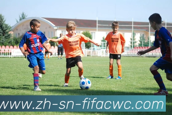 世界杯在线观看品牌故事